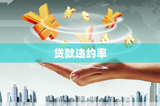 士林贷款违约率