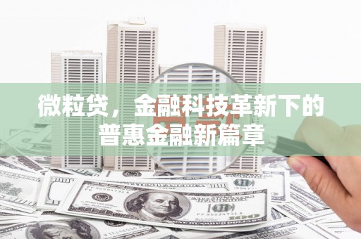 士林微粒贷，金融科技革新下的普惠金融新篇章