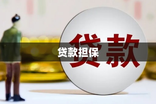 士林贷款担保
