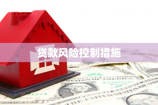 士林贷款风险控制措施