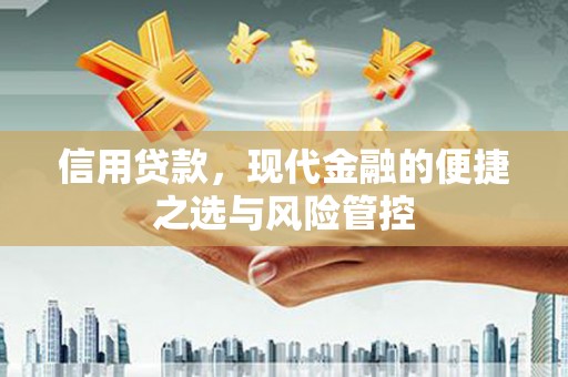 士林信用贷款，现代金融的便捷之选与风险管控