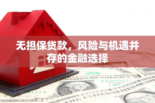 士林无担保贷款，风险与机遇并存的金融选择