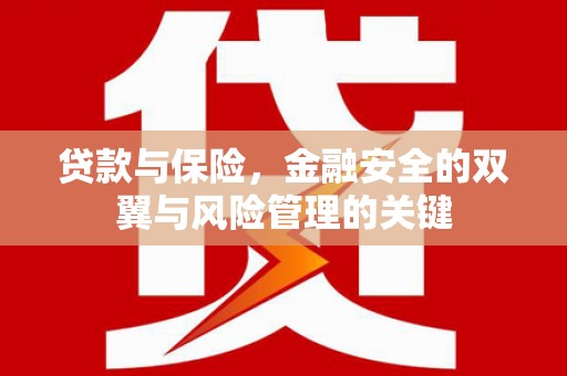 士林贷款与保险，金融安全的双翼与风险管理的关键