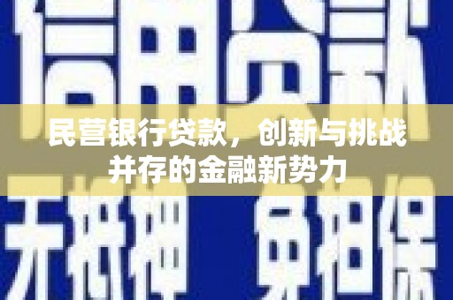 士林民营银行贷款，创新与挑战并存的金融新势力
