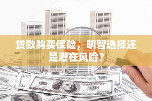 士林贷款购买保险，明智选择还是潜在风险？