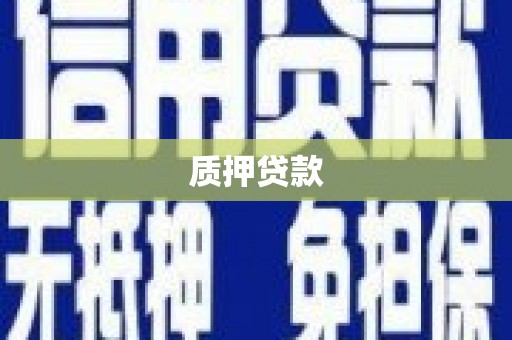 士林质押贷款