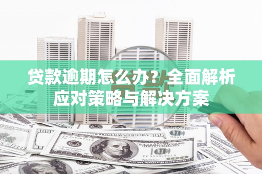 士林贷款逾期怎么办？全面解析应对策略与解决方案