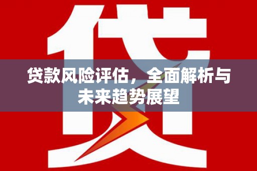 士林贷款风险评估，全面解析与未来趋势展望