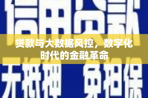 士林贷款与大数据风控，数字化时代的金融革命