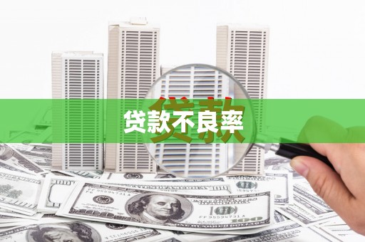士林贷款不良率