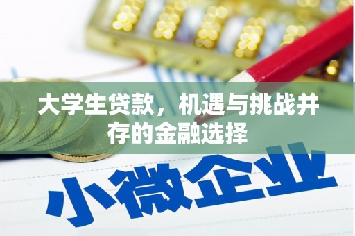士林大学生贷款，机遇与挑战并存的金融选择