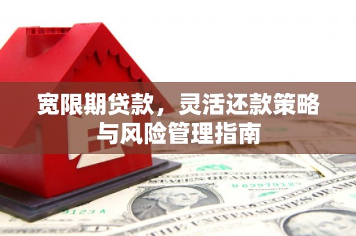士林宽限期贷款，灵活还款策略与风险管理指南