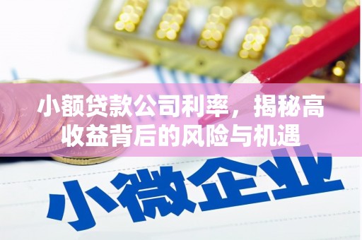 士林小额贷款公司利率，揭秘高收益背后的风险与机遇