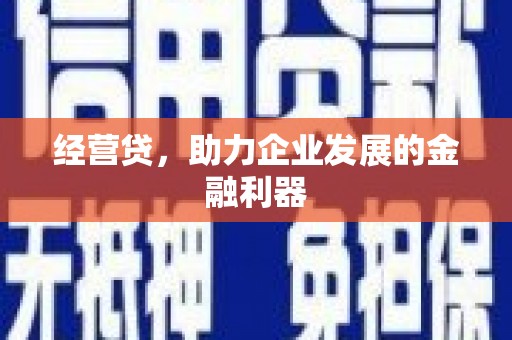 士林经营贷，助力企业发展的金融利器