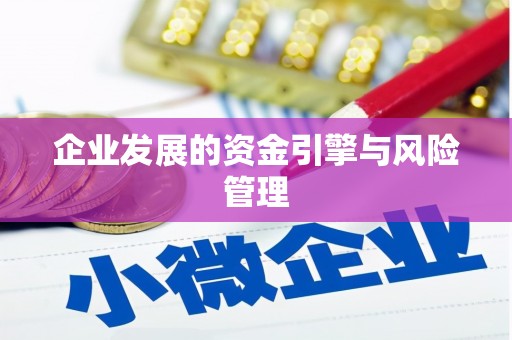 士林企业发展的资金引擎与风险管理