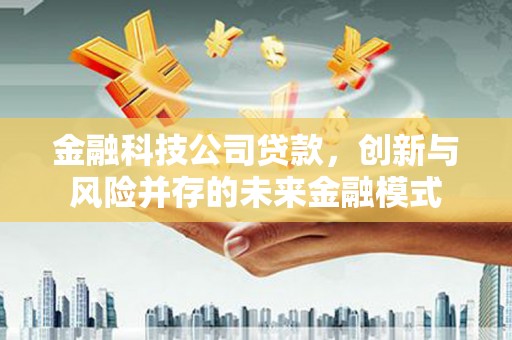 士林金融科技公司贷款，创新与风险并存的未来金融模式