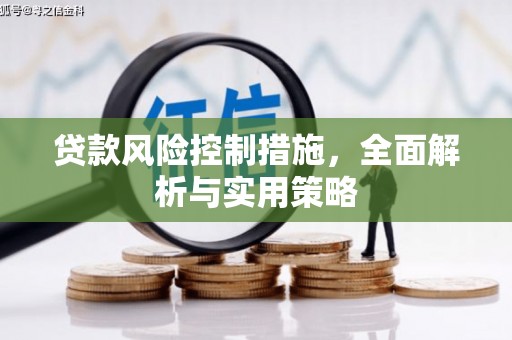士林贷款风险控制措施，全面解析与实用策略