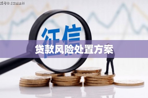 士林贷款风险处置方案