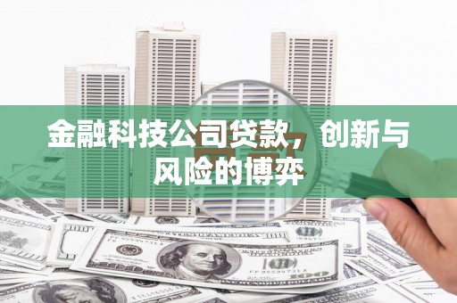 士林金融科技公司贷款，创新与风险的博弈