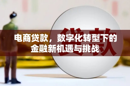 士林电商贷款，数字化转型下的金融新机遇与挑战