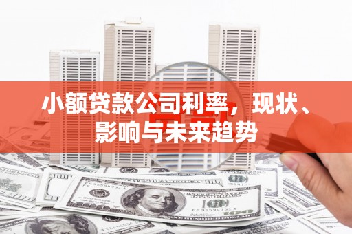 士林小额贷款公司利率，现状、影响与未来趋势