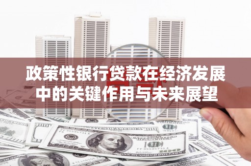 士林政策性银行贷款在经济发展中的关键作用与未来展望