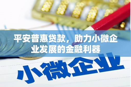 士林平安普惠贷款，助力小微企业发展的金融利器