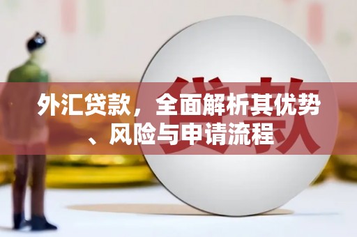 士林外汇贷款，全面解析其优势、风险与申请流程
