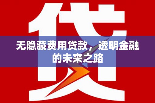 士林无隐藏费用贷款，透明金融的未来之路