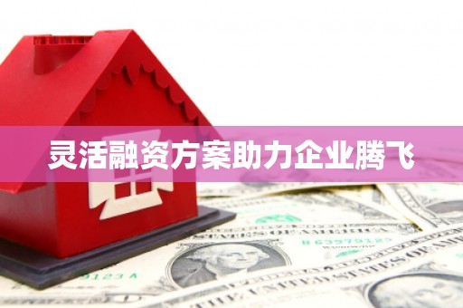 士林灵活融资方案助力企业腾飞