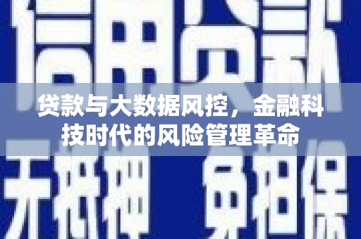 士林贷款与大数据风控，金融科技时代的风险管理革命