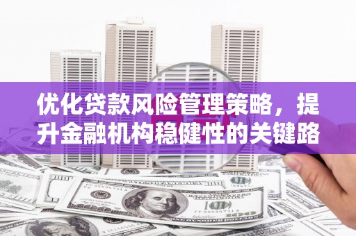 士林优化贷款风险管理策略，提升金融机构稳健性的关键路径