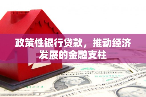 士林政策性银行贷款，推动经济发展的金融支柱