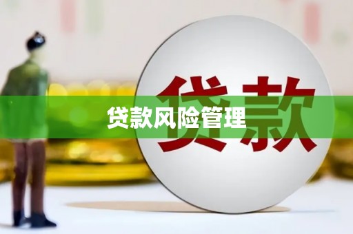 士林贷款风险管理