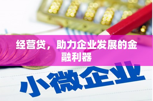 士林经营贷，助力企业发展的金融利器