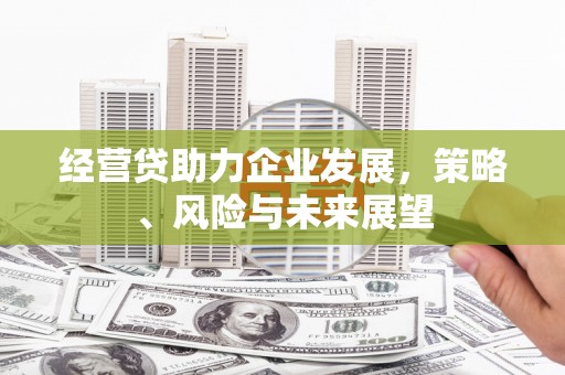 士林经营贷助力企业发展，策略、风险与未来展望