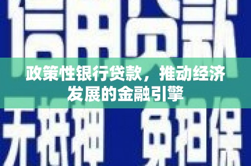 士林政策性银行贷款，推动经济发展的金融引擎