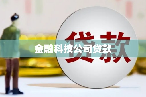 士林金融科技公司贷款