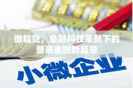 士林微粒贷，金融科技革新下的普惠金融新篇章
