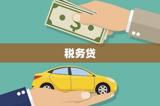 士林税务贷
