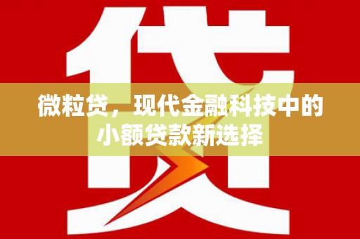 士林微粒贷，现代金融科技中的小额贷款新选择