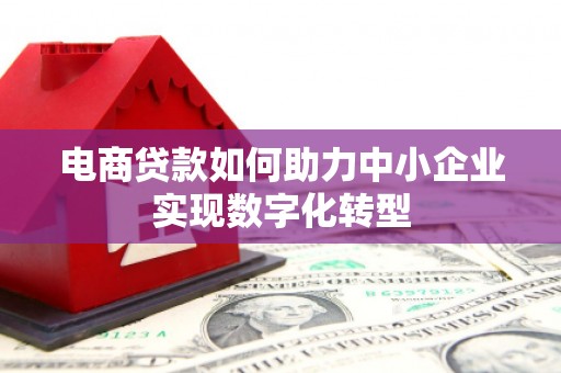士林电商贷款如何助力中小企业实现数字化转型