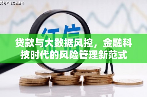 士林贷款与大数据风控，金融科技时代的风险管理新范式