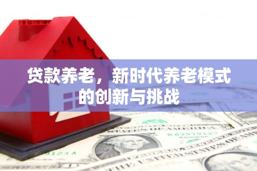 士林贷款养老，新时代养老模式的创新与挑战