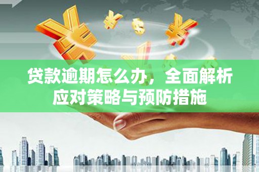 士林贷款逾期怎么办，全面解析应对策略与预防措施