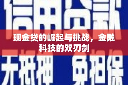 士林现金贷的崛起与挑战，金融科技的双刃剑
