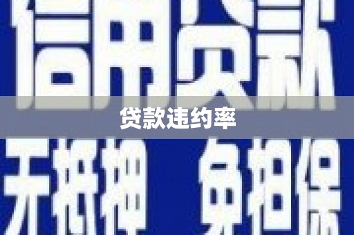 士林贷款违约率