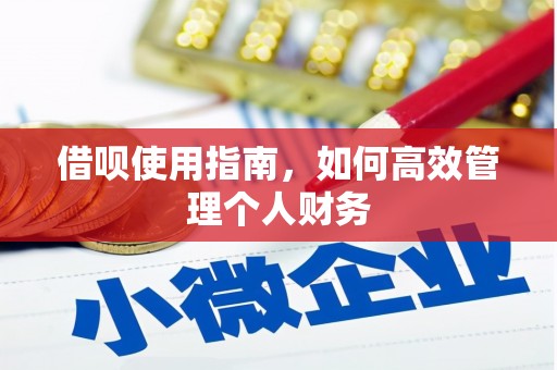 士林借呗使用指南，如何高效管理个人财务