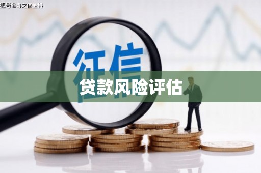 士林贷款风险评估