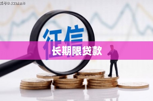 士林长期限贷款